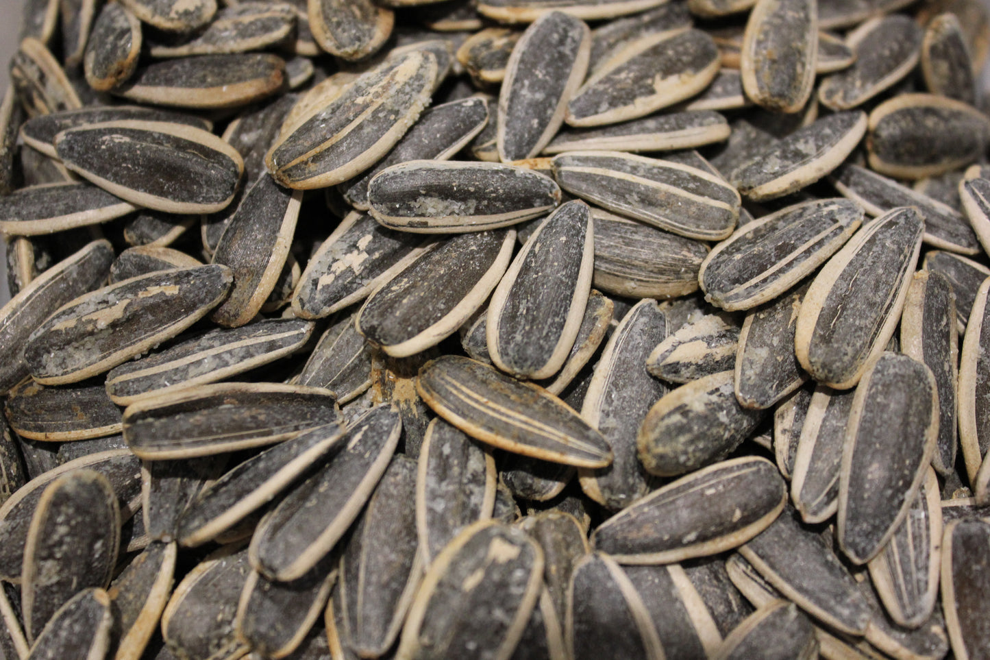 Graines de tournesol (Pipas) (100g) / Nouveauté