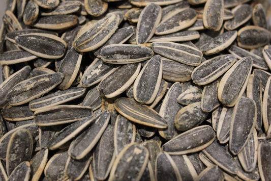 Graines de tournesol (Pipas) (100g) / Nouveauté