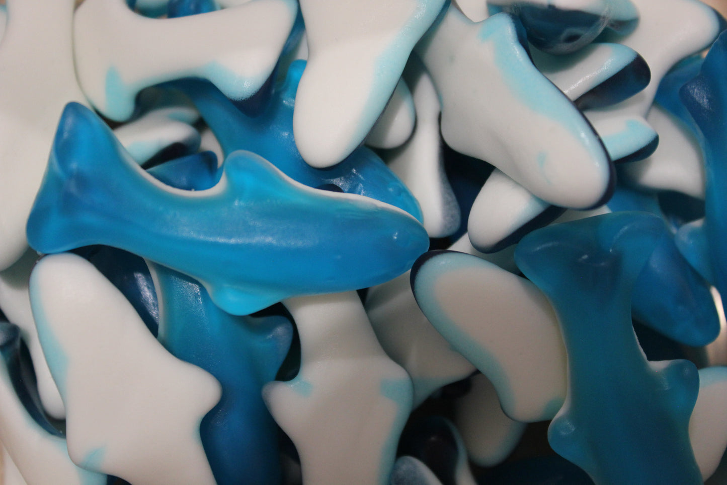 Bonbons Haribo Dauphins / Nouveauté (100g)